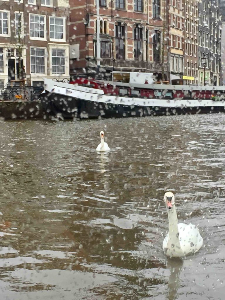 Eine Grachtenfahrt mit den Kindern durch Amsterdam.