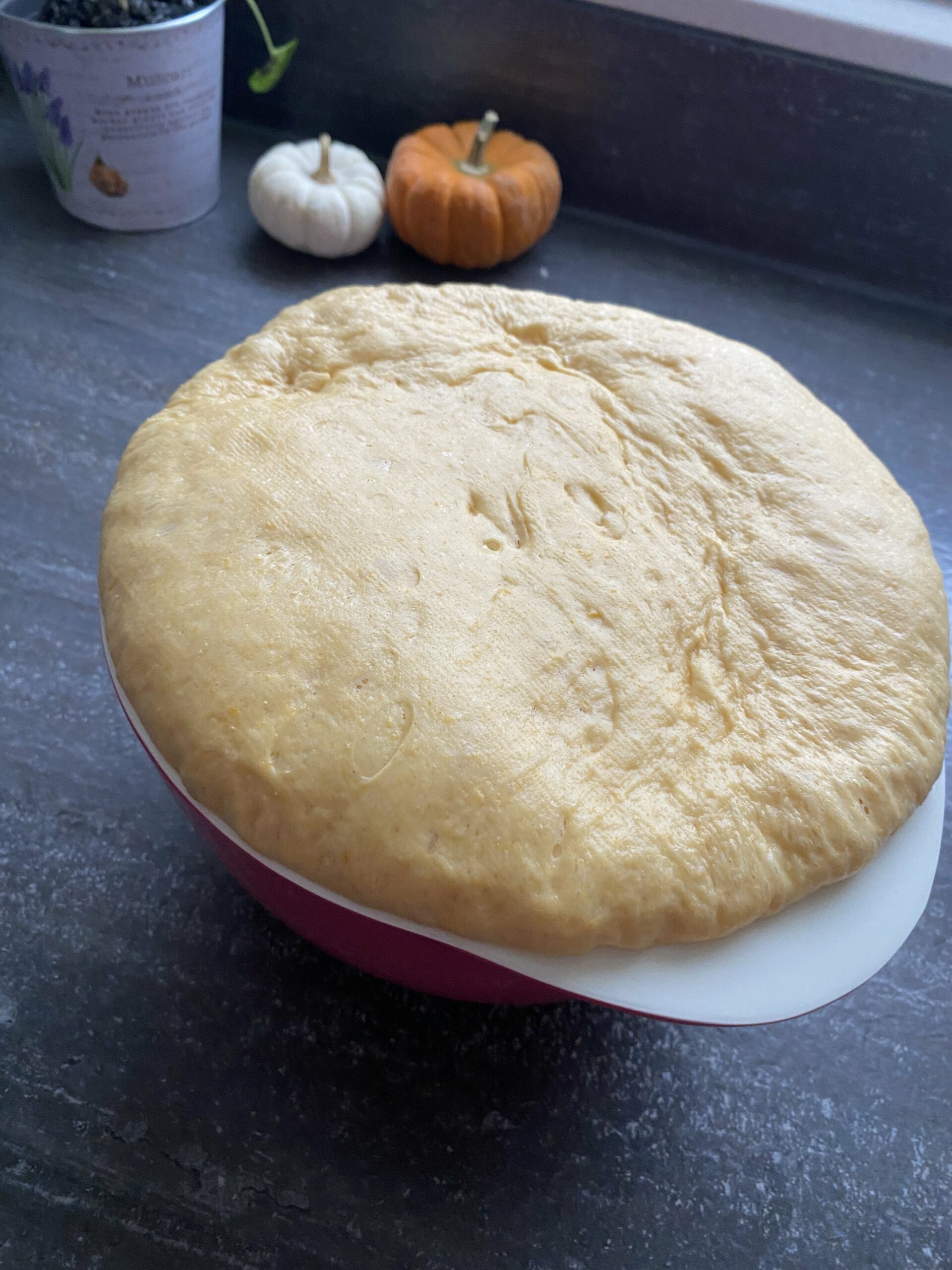Zerodeko 4 Dampfbrötchenformen – Aus PP, Lebensmittelecht – Für Baozi, Teigtaschen & Asiatische Küche