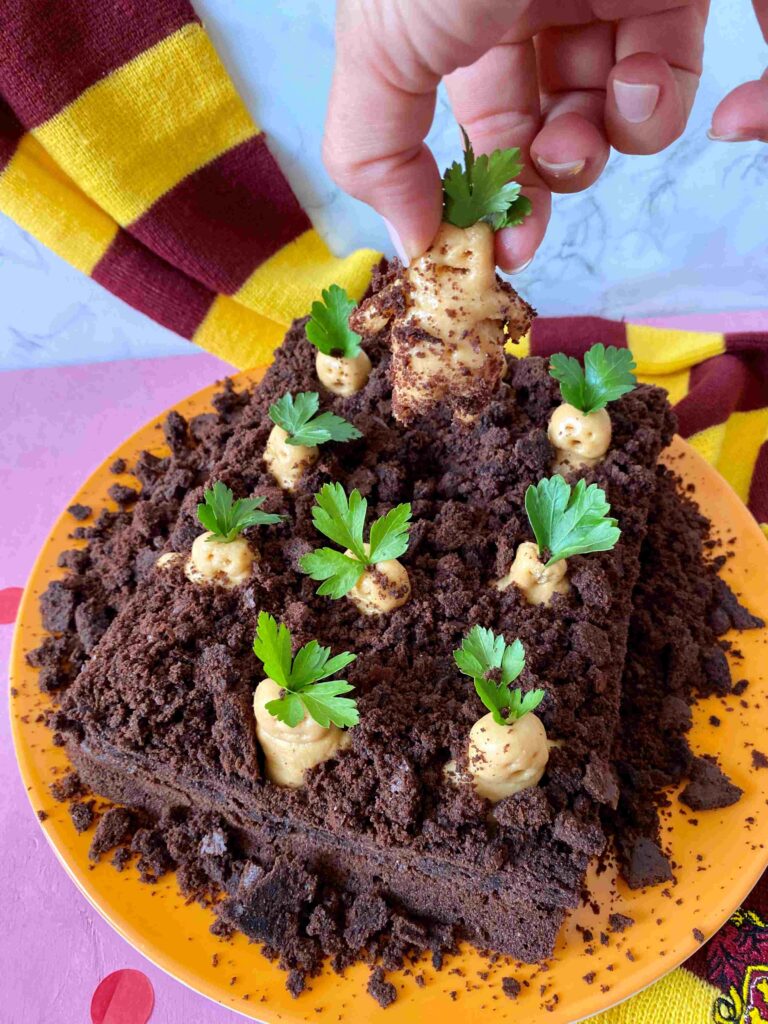 Als Harry Potter Geburtstagskuchen einen saftigen Alraunen-Schokokuchen