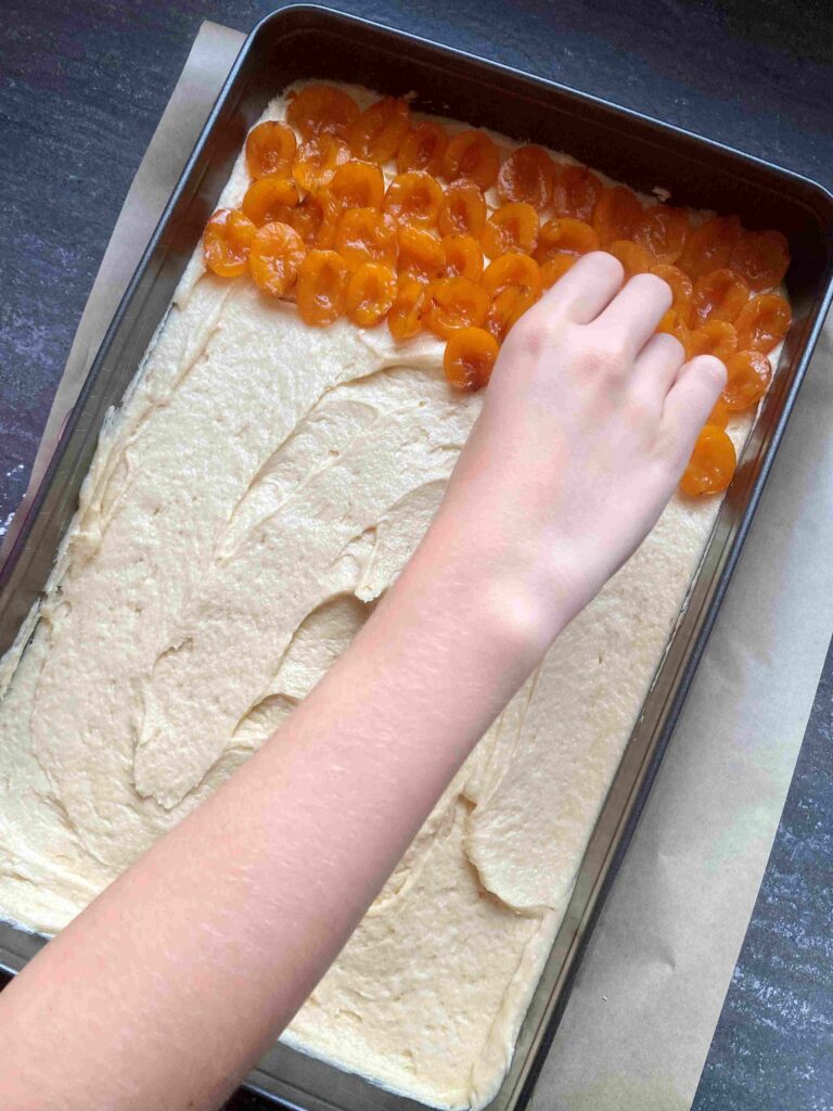 Butterstreuselkuchen wie von Oma - der einfache Streuselkuchen mit Mirabellen