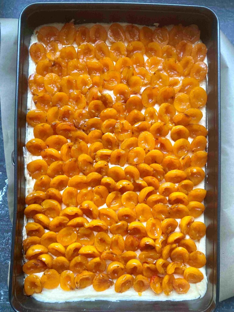 Butterstreuselkuchen wie von Oma - der einfache Streuselkuchen mit Mirabellen
