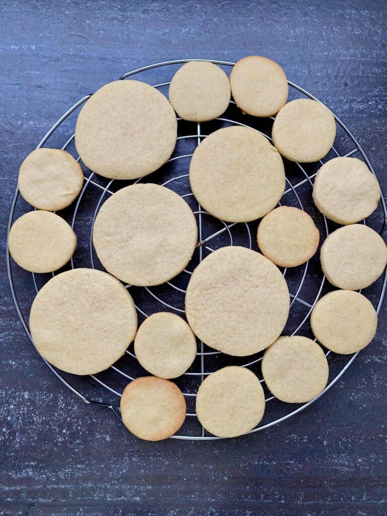 Halloween-Spinnenkekse und Halloween-Kekse mit Kakerlaken sind ein großer Spaß für das Backen mit Kindern an Halloween